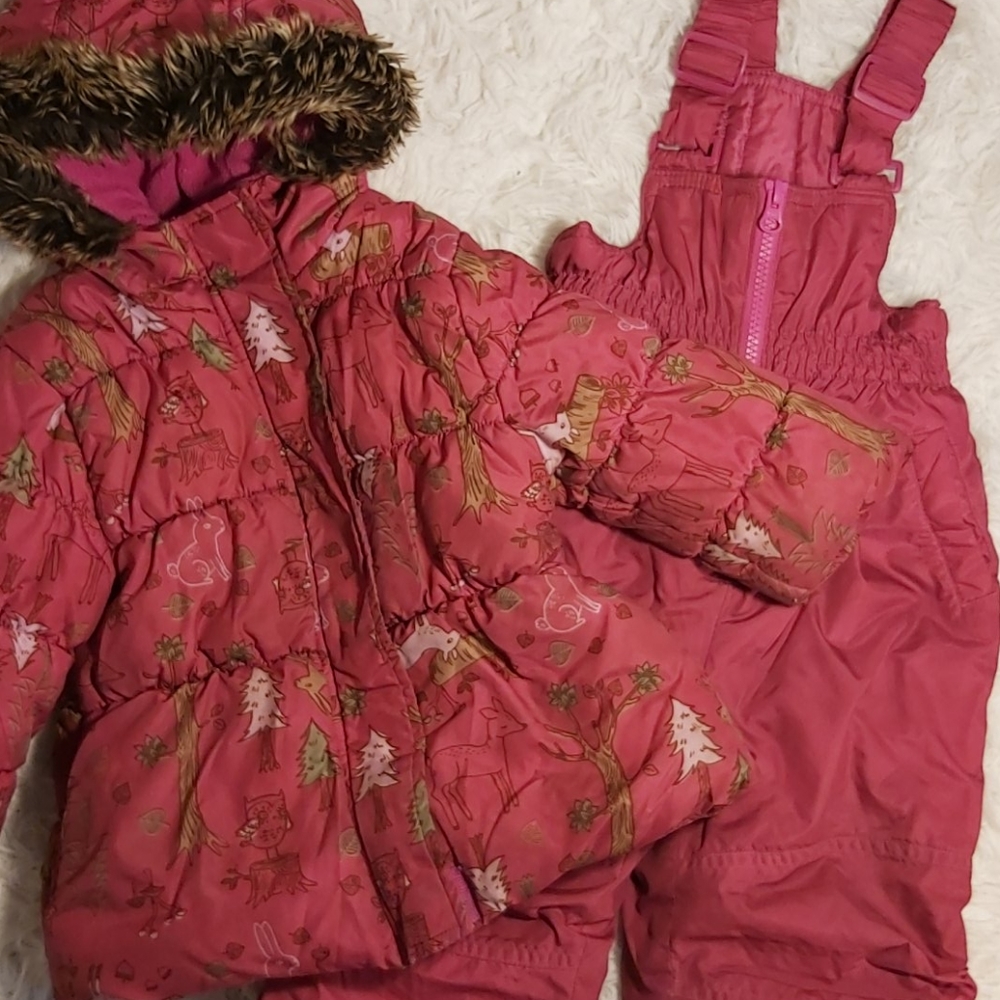 Baby Girl Snow Suit